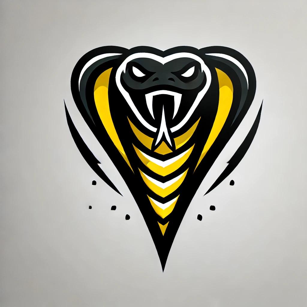 Vipers Basketball team